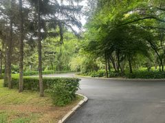 -长春市南湖公园