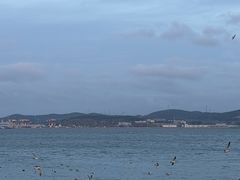 -悦海公园