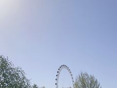 -日照海滨国家森林公园