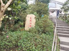 -梧桐山风景名胜区