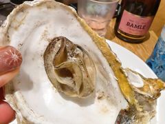 -齐河孔雀王温泉酒店·金孔雀自助百汇