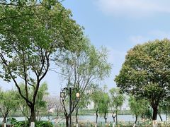 -金银湖国家城市湿地公园