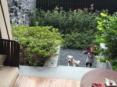 -上海崇明金茂凯悦酒店