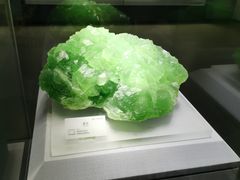 -湖南省地质博物馆