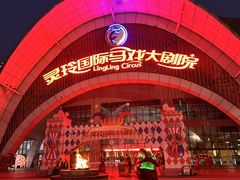 -灵玲国际马戏城