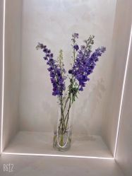 -帆拉斐婚纱摄影(春熙店)