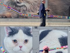 -方浜中路45弄小区