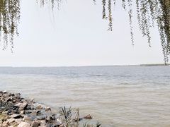 -漕湖湿地公园