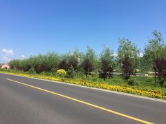 -塞罕坝国家级自然保护区