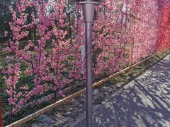 -北京凤凰岭
