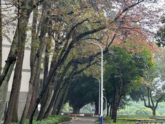 -福建师范大学(仓山校区)