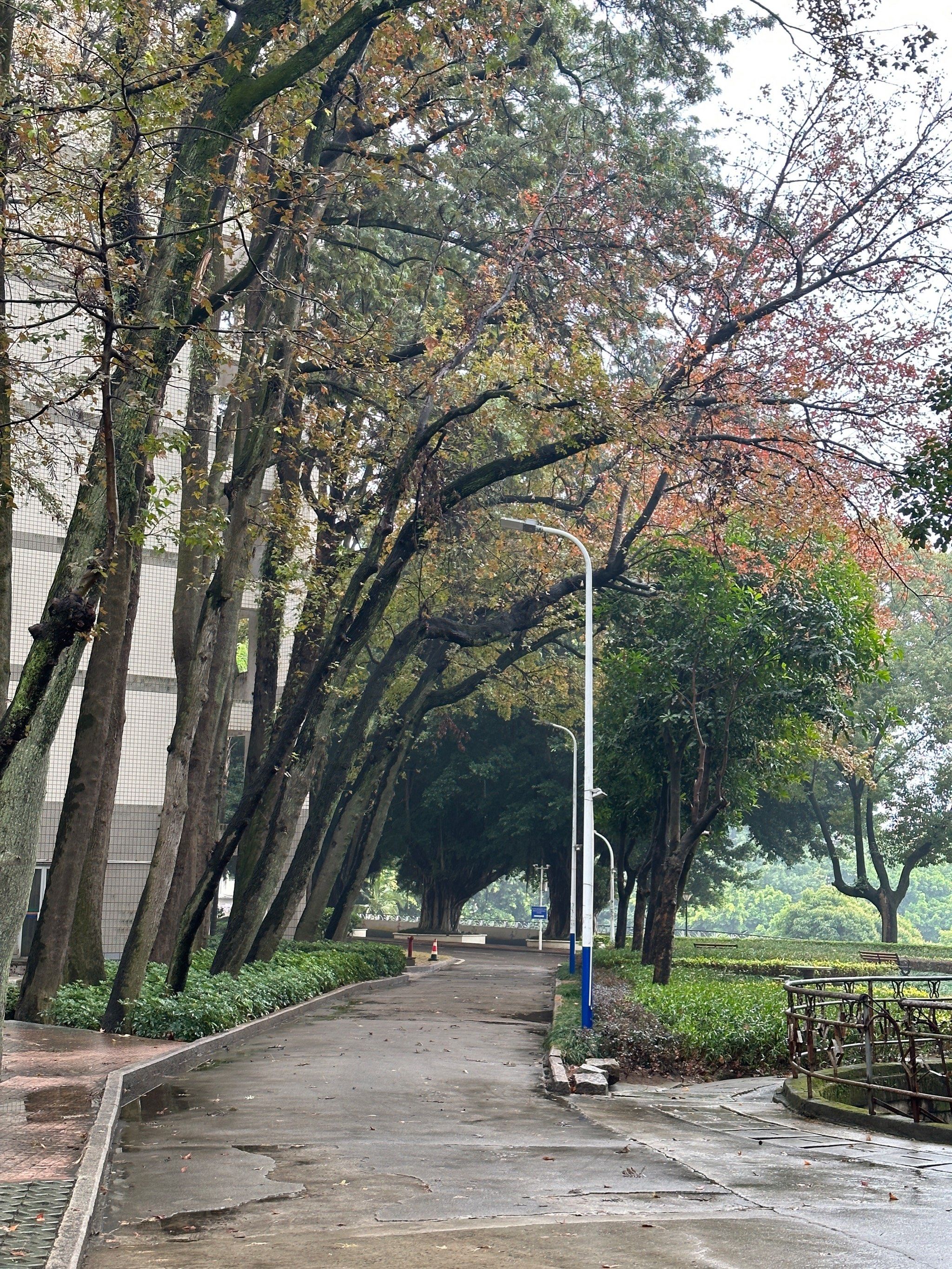 福州师范大学-仓山校区