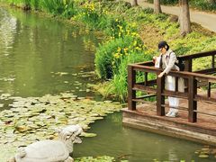 -昆山城市生态森林公园