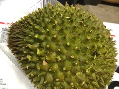 -鲜力达果品批发直销(青山店)