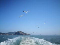 景点-长岛万鸟岛