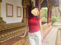 -西双版纳傣族园