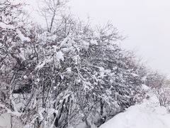 -太子岭滑雪场