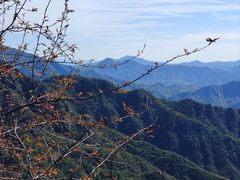 -大岭沟猕猴桃谷风景区
