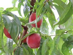 -仙海旅游度假区