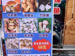 -云南野生菌石锅鱼石锅鸡(大金塔店)