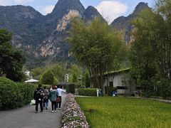 -明仕田园
