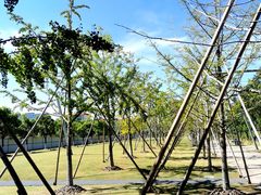 -COFFEE CALL(云锦路店)