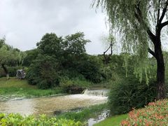 -宜兴龙背山森林公园
