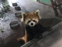 -石家庄市动物园