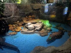 -多彩贵州城极地海洋世界