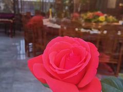 -东湖食堂·湖景餐厅•会议