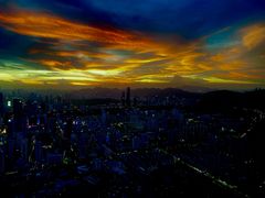 -瑞吉酒店·The Drawing Room闲逸廊·云端下午茶·夜奢Whiskey