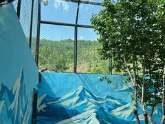 -青藏高原野生动物园