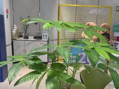 -登特口腔医院(鼓楼东街口店)