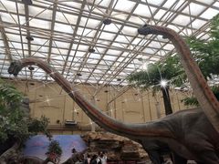 -国家自然博物馆