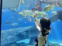 -福州罗源湾海洋世界旅游区