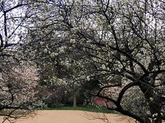 -杭州植物园