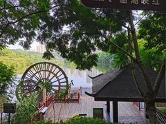 -重庆彩云湖湿地公园