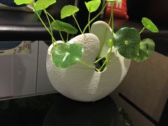 -田螺阿姨自营月嫂·育儿嫂(高新店)