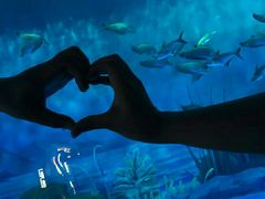 -大唐眼镜(永安路店)