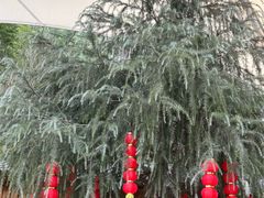 -石燕湖生态旅游景区