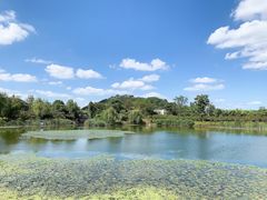 -山水间小院