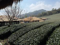 -优游吧斯邹族文化部落