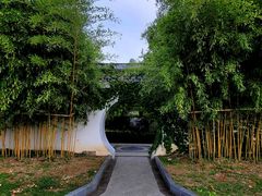 -上海共青森林公园