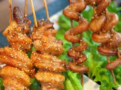 -蒙鞑叔炭烤羊腿(定福庄店)