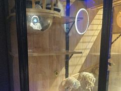 -瞳·实景密室逃脱(护国店)