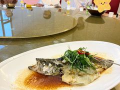 -东豪园林海鲜酒家(南港路辅路店)