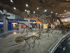 -国家自然博物馆