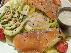 -HELLO 27 意面·沙拉·帕尼尼