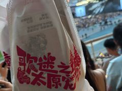 -山西体育中心红灯笼体育场