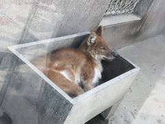 -西安秦岭野生动物园